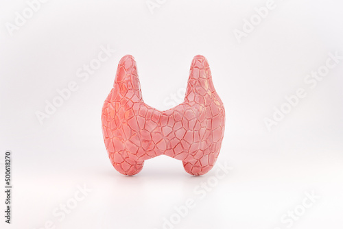 World Thyroid day. Healthcare banner with isolated Thyroid Disease Prevention 3d rendering