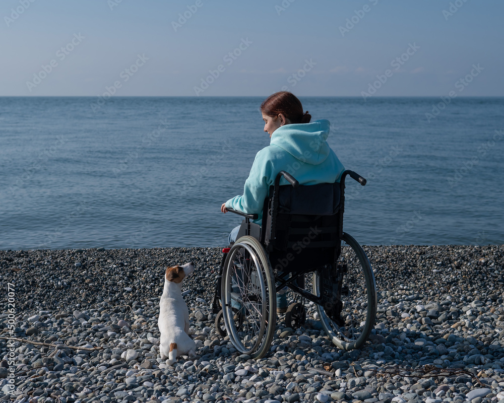 Caucasian woman sitting in a wheelchair with a dog on the seashore. 