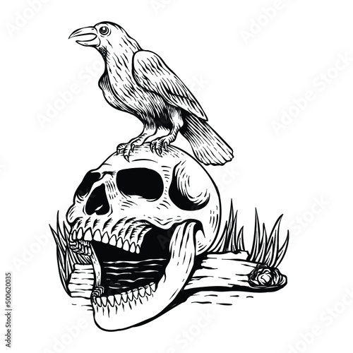 hand drawn skull with crow