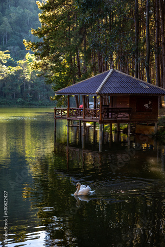 Pang Oung national park  lake and forest of pine trees in Mae Hong Son  Thailand