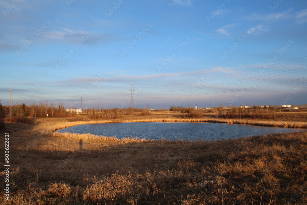 Lake In Spring, Pylypow Wetlands, Edmonton, Alberta
