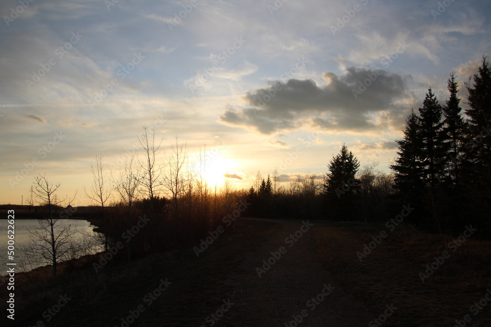 Low Sun Above Us, Pylypow Wetlands, Edmonton, Alberta Low Sun Above Us, Pylypow Wetlands, Edmonton, Alberta