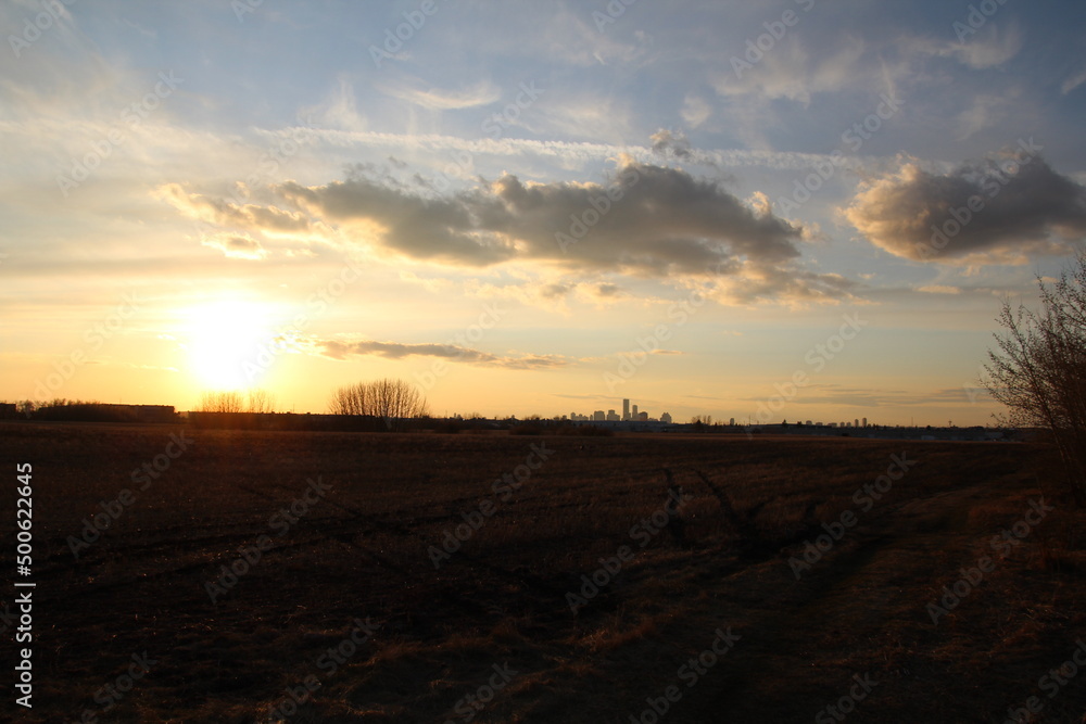 sunset in the field, Pylypow Wetlands, Edmonton, Alberta sunset in the field, Pylypow Wetlands, Edmonton, Alberta
