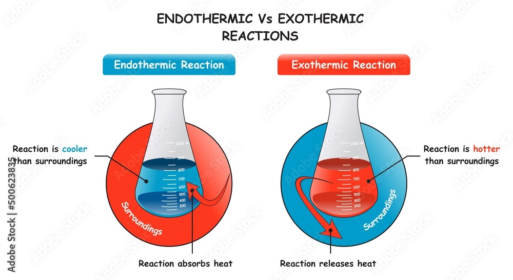 Endothermic Vs Exothermic Reactions Infographic Diagram Showing A My
