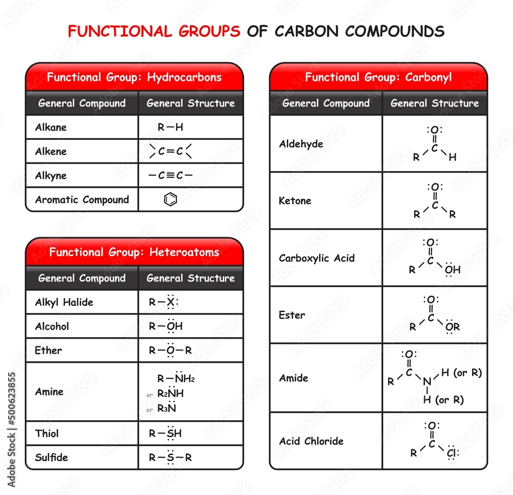 Functional Groups Of Carbon Compounds Infographic Diagram Including