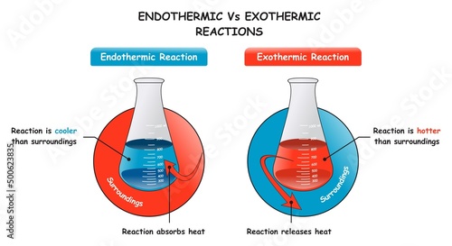 Endothermic Vs Exothermic Reactions Infographic Diagram showing a comparison between them and major differences of absorbing and releasing heat for chemistry science education vector photo