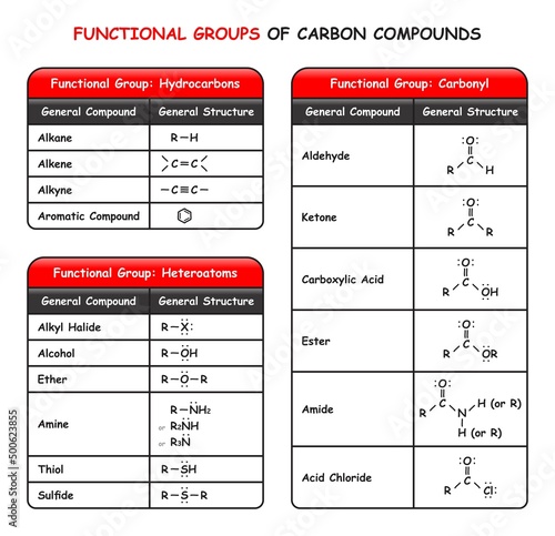 Functional Groups of Carbon Compounds Infographic Diagram including hydrocarbons heteroatoms and carbonyl with general compound and structure for chemistry science education poster vector
