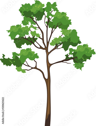 Cartoon tree with green foliage isolated on white background	
