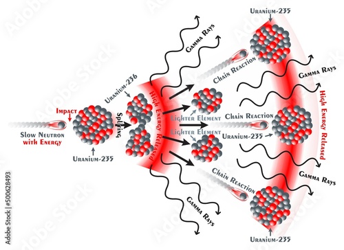 Nuclear Fission Infographic Diagram showing impact neutron uranium atom breaking down to lighter elements releasing high energy gamma rays neutrons starting chain reaction chemistry science education