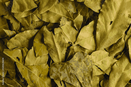 Realistic vector illustration of laurel leaves texture. Bay leaf background. Culinary herb.
