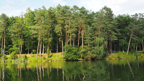 Las, woda, natura, przyroda, zieleń © JT Foto - Dron