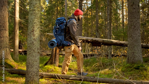 Young Unshaven Tourist in Red hat With Tourist Equipment and Blue Hiking Bag is Walking Through Sunny Summer Coniferous Forest With Tall Trees  Climbing Over Fallen Tree on Way. Travel in Forest Park.