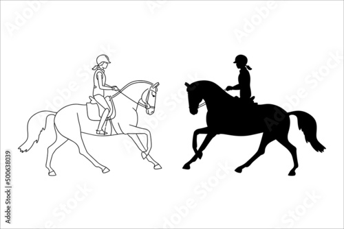 Line art and silhouette of an elegant horsewoman on a horse