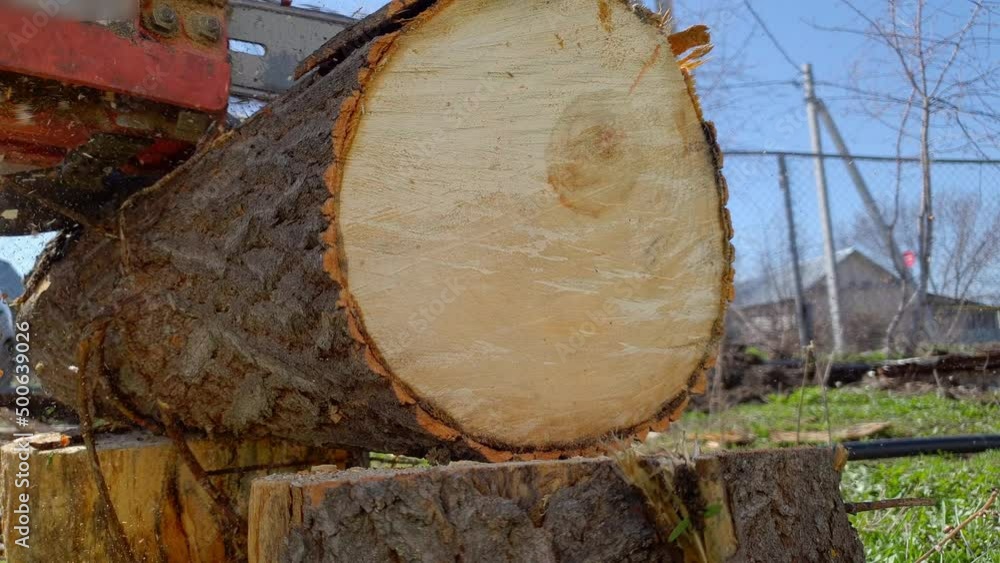 a farmer saws logs with a chainsaw, harvesting firewood for winter heating a farmer saws logs with a chainsaw, harvesting firewood for winter heating