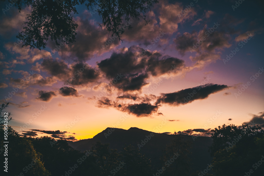 Fototapeta premium Selva y Yungas