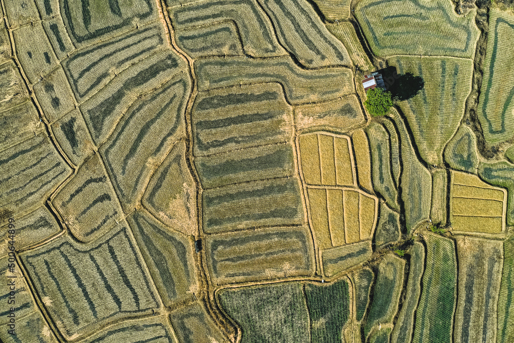 Obraz premium Aerial view of Mae La Noi rice terraces in Mae Hong Son, Thailand