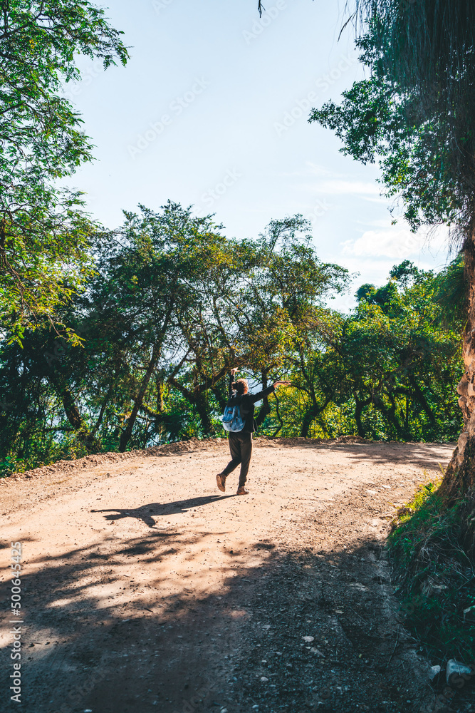 Fototapeta premium Paseo en selva