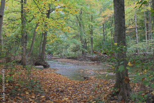 autumn river