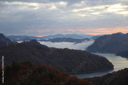 紅葉、朝焼け、草、木、花
