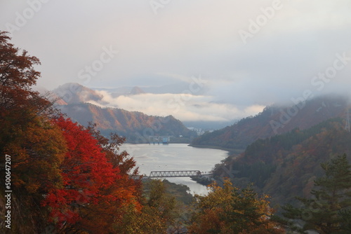 紅葉、朝焼け、草、木、花