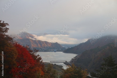 紅葉、朝焼け、草、木、花