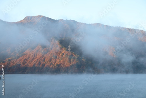 紅葉、朝焼け、草、木、花