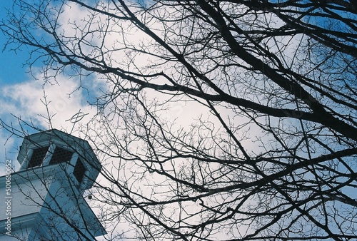 church steeple among tree branches