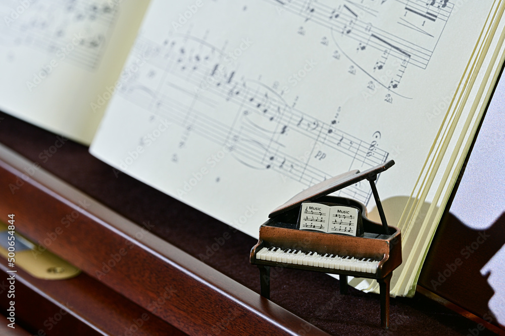 Fototapeta premium グランドピアノイメージ ベーゼンドルファー背景 【室内スタジオ撮影】