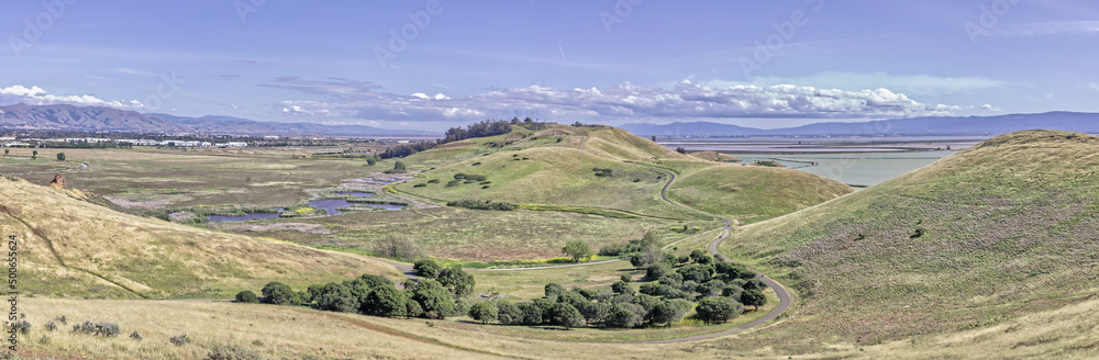 Panorama of Coyote Hills Regional Park During the Day