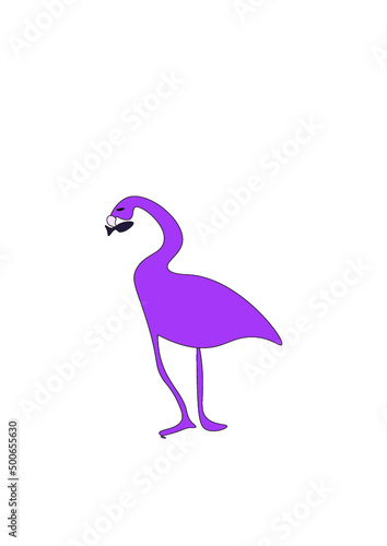 bird,  flamingo