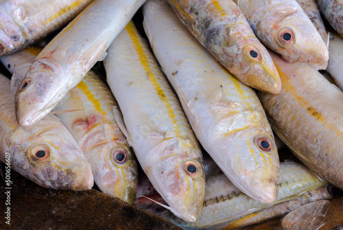 Fresh Parapercis in the market, Red Sea fish