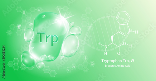 Water drop Important amino acid  Tryptophan Trp, W and structural chemical formula. Tryptophan on a green background. Medical and scientific concepts. 3D Vector Illustration.