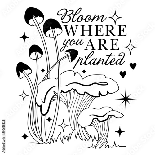 Celestial mystery shrooms with slogan: Bloom where you are planted. Square hallucination print for tee, t shirt, t. Floral sacred mushrooms. Magic graphic celestial print with witchy esoteric objects