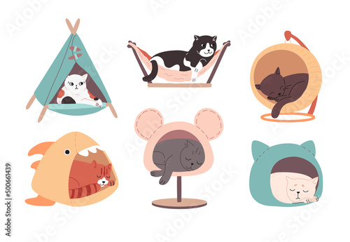 Multi-colored cats of different breeds rest in cat houses. Tired adorable kittens sleep in pet beds. Funny animals drawn in a flat style. Color vector illustration, doodle set isolated on white