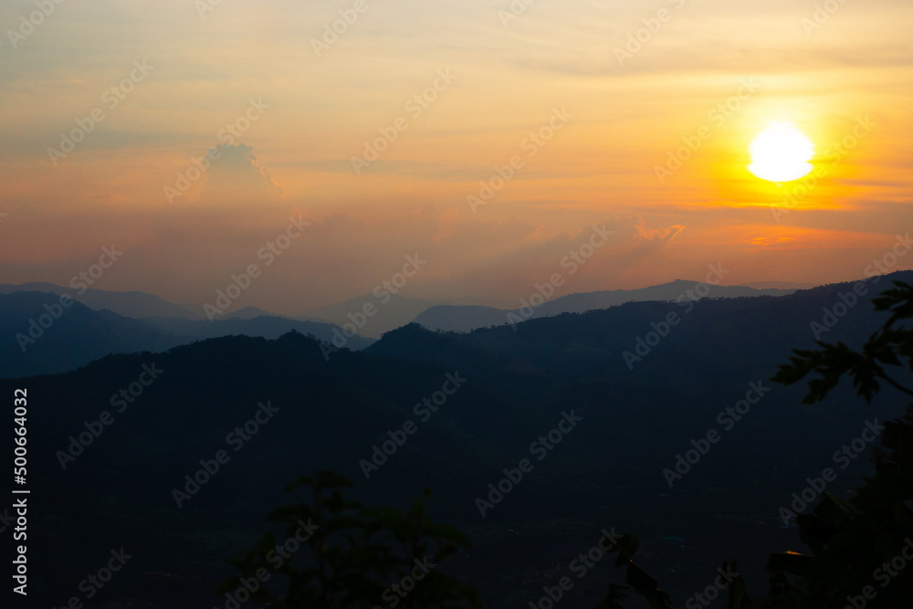 Sol dorado selva Peruana