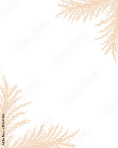 Dry pampas grass. Floral border frame design. Beige cortaderia in boho style. Vector dried flowers isolated on white background. Trendy template for invitations, postcards, social media.