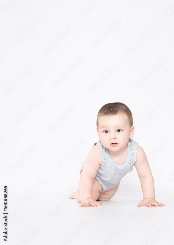 eight month old baby boy crowling on the ground and looking at camera eight month old baby boy crowling on the ground and looking at camera