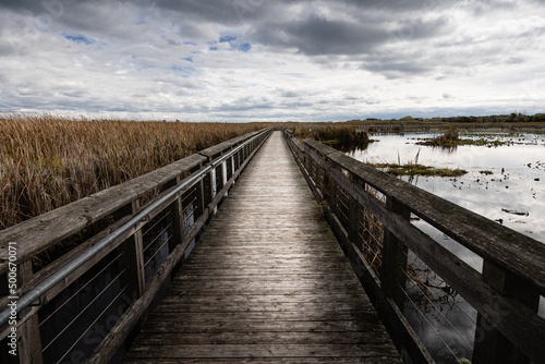 Beautiful view of of the marsh and boardwalk in Point Pelee