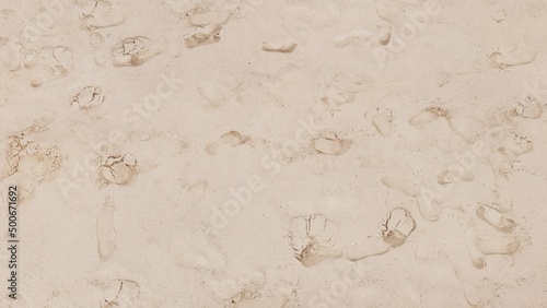 Sand Beach with Foot Prints