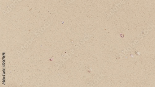 Sand Beach with Shells