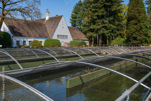 Tablou pe pânză Bonneville Dam fish hatchery pods landscape Oregon.