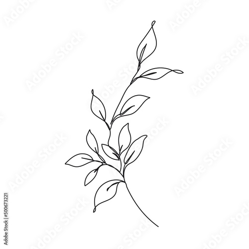 Botanical Line Art Vector Illustration for Prins, Social Media, Icons. Floral Trendy Template Minimalist Style. Abstract Leaves Branch Line Art Hand Drawn Doodle Template.