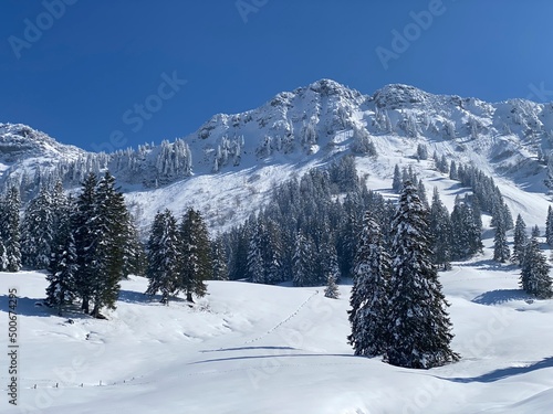 Fairytale alpine winter atmosphere and snow-covered coniferous trees on the mountain peak Neuenalpspitz (1817 m), Nesslau - Obertoggenburg region, Switzerland (Schweiz) © Mario