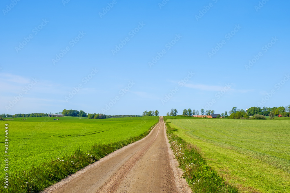 Dirt road in a rural landscape in the summer