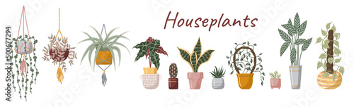 Set hand drawn vector isolated elements. Houseplant. A flower in a pot. Indoor plants. Home gardening. Color image on a white background..