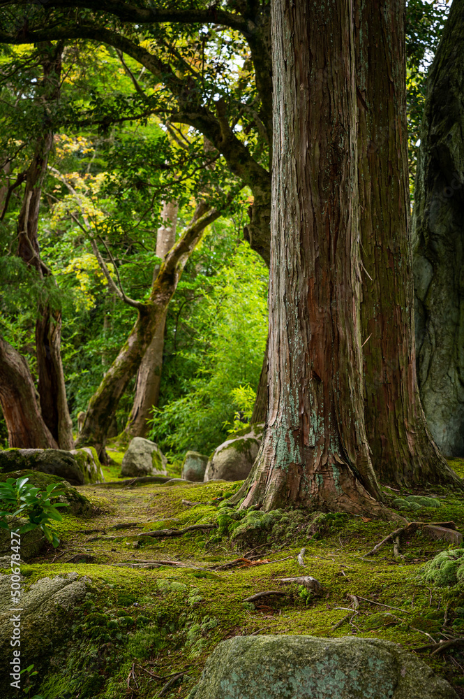 Garden of Old Japanese Mansion at Niigata, Japan 1 Garden of Old Japanese Mansion at Niigata, Japan 1