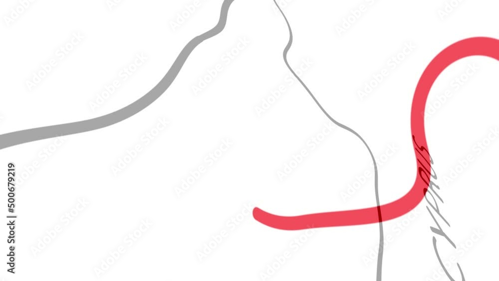 Northern Cyprus - Hand-Drawn Map Animation Northern Cyprus - Hand-Drawn Map Animation