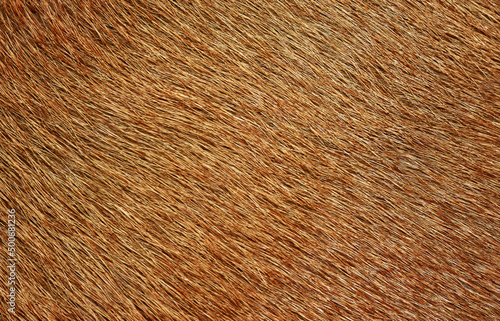 Full frame brown fur, brown deer fur for the background.