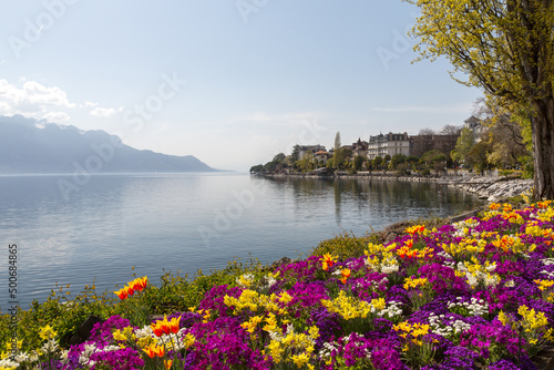 Bord de lac fleuri à Montreux