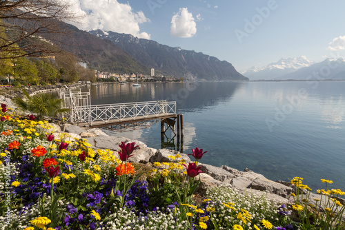 Fototapeta Bord de lac à Montreux. Fleurs au printemps sur la rivieira